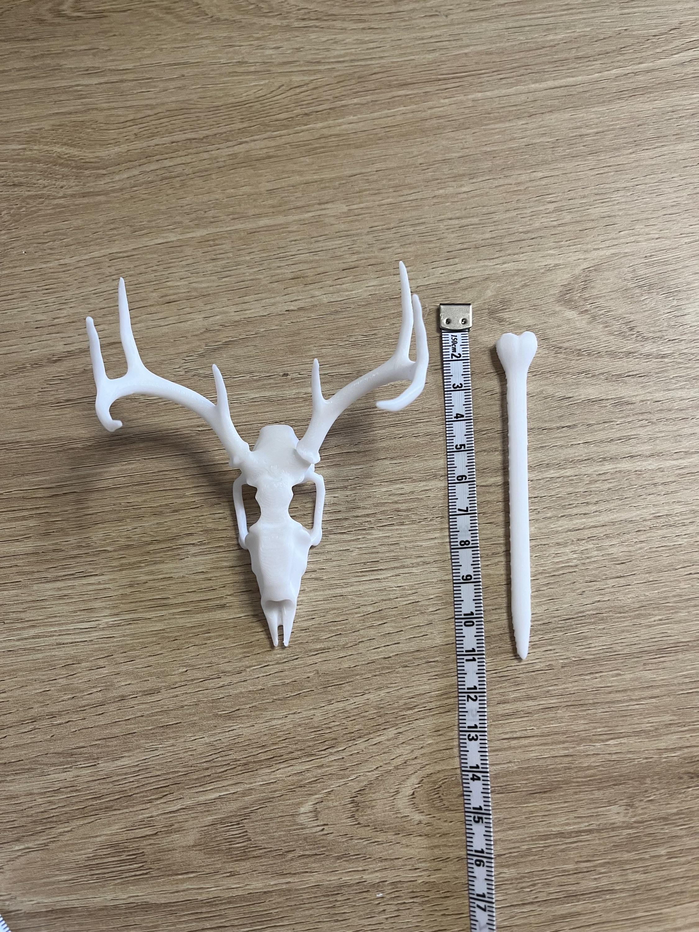 Unique 3d printed deer stag skull shawl pin, vulture culture, gothic, fantasy, macabre, witchy, alternative fashion accessory