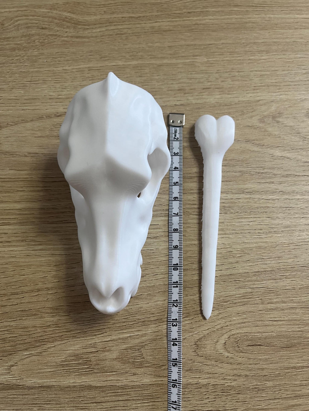 Unique 3d printed Canine Dog Wolf skull shawl pin, vulture culture, gothic, fantasy, macabre, witchy, alternative fashion accessory
