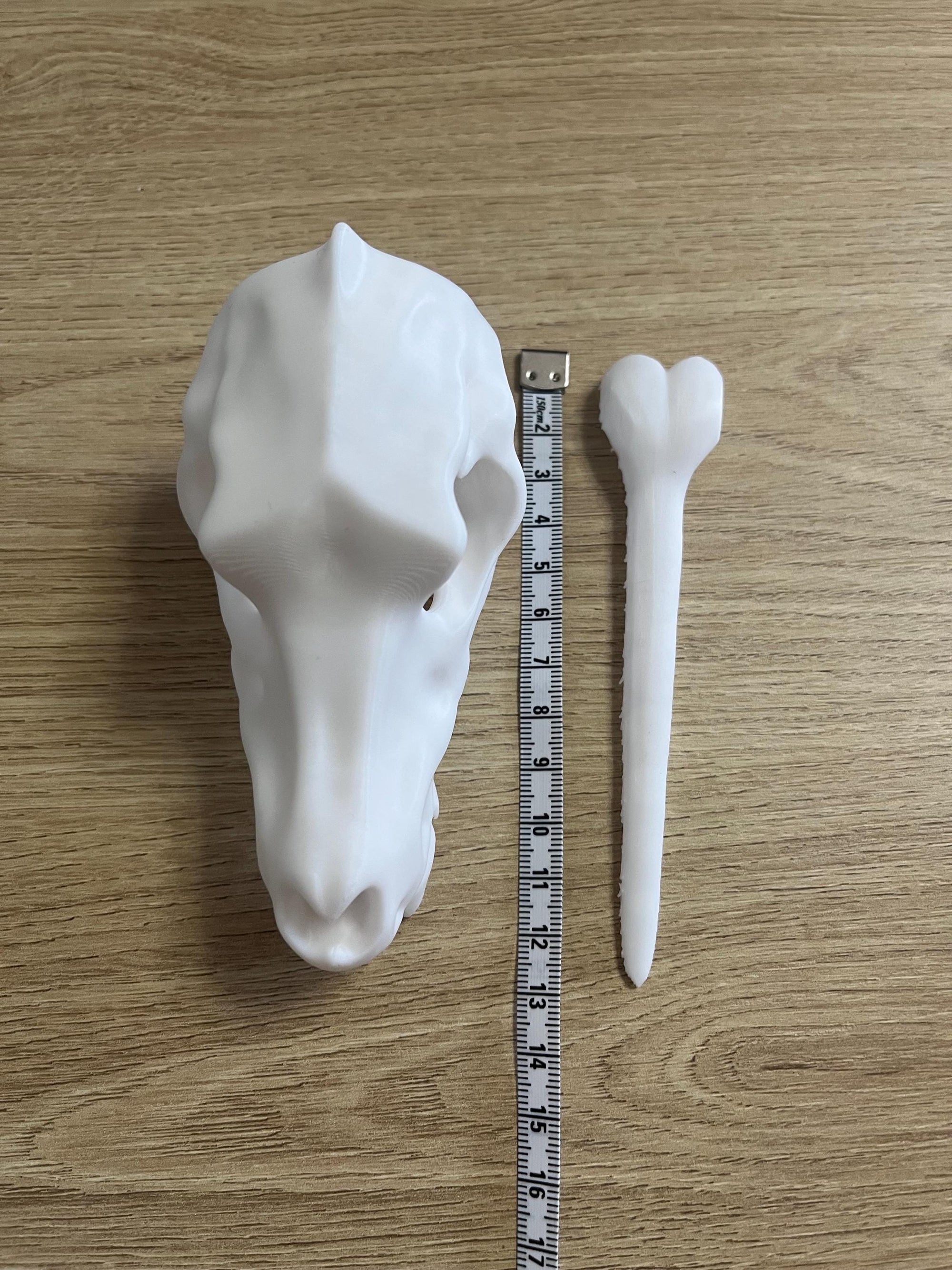 Unique 3d printed Canine Dog Wolf skull shawl pin, vulture culture, gothic, fantasy, macabre, witchy, alternative fashion accessory