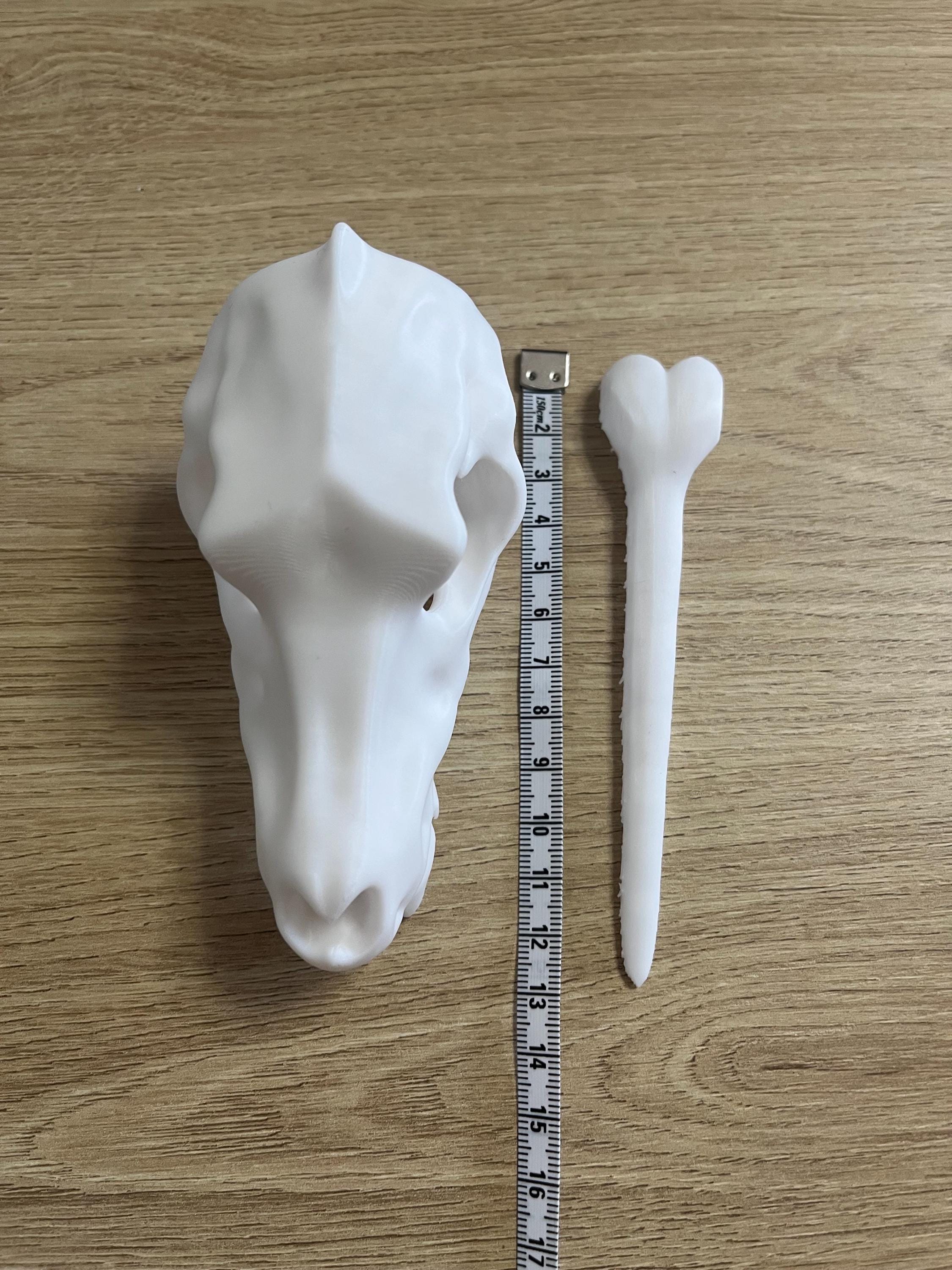 Unique 3d printed Canine Dog Wolf skull shawl pin, vulture culture, gothic, fantasy, macabre, witchy, alternative fashion accessory