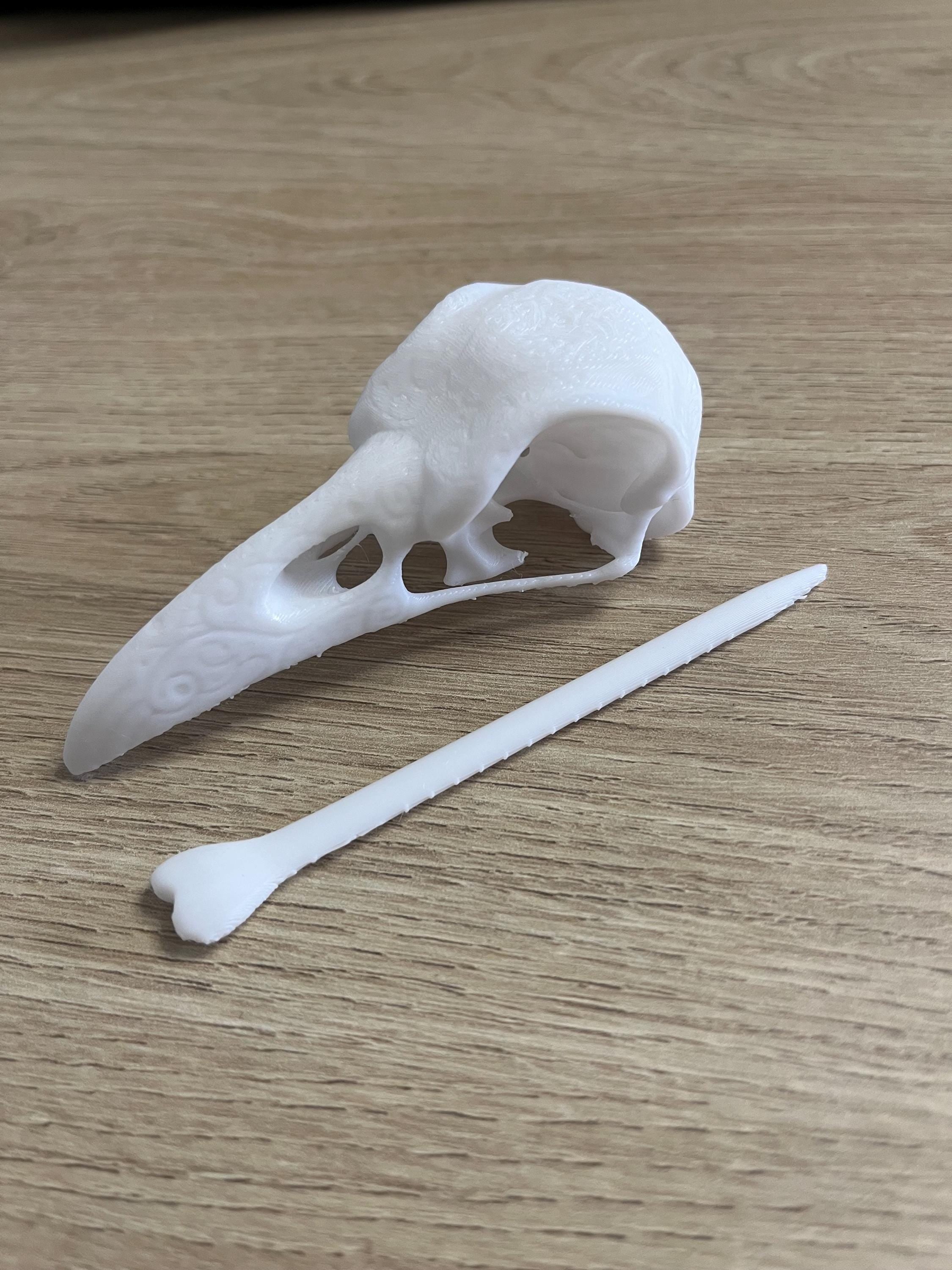 Unique 3d printed Crow Corvid Raven skull shawl pin, vulture culture, gothic, fantasy, macabre, witchy, alternative fashion accessory