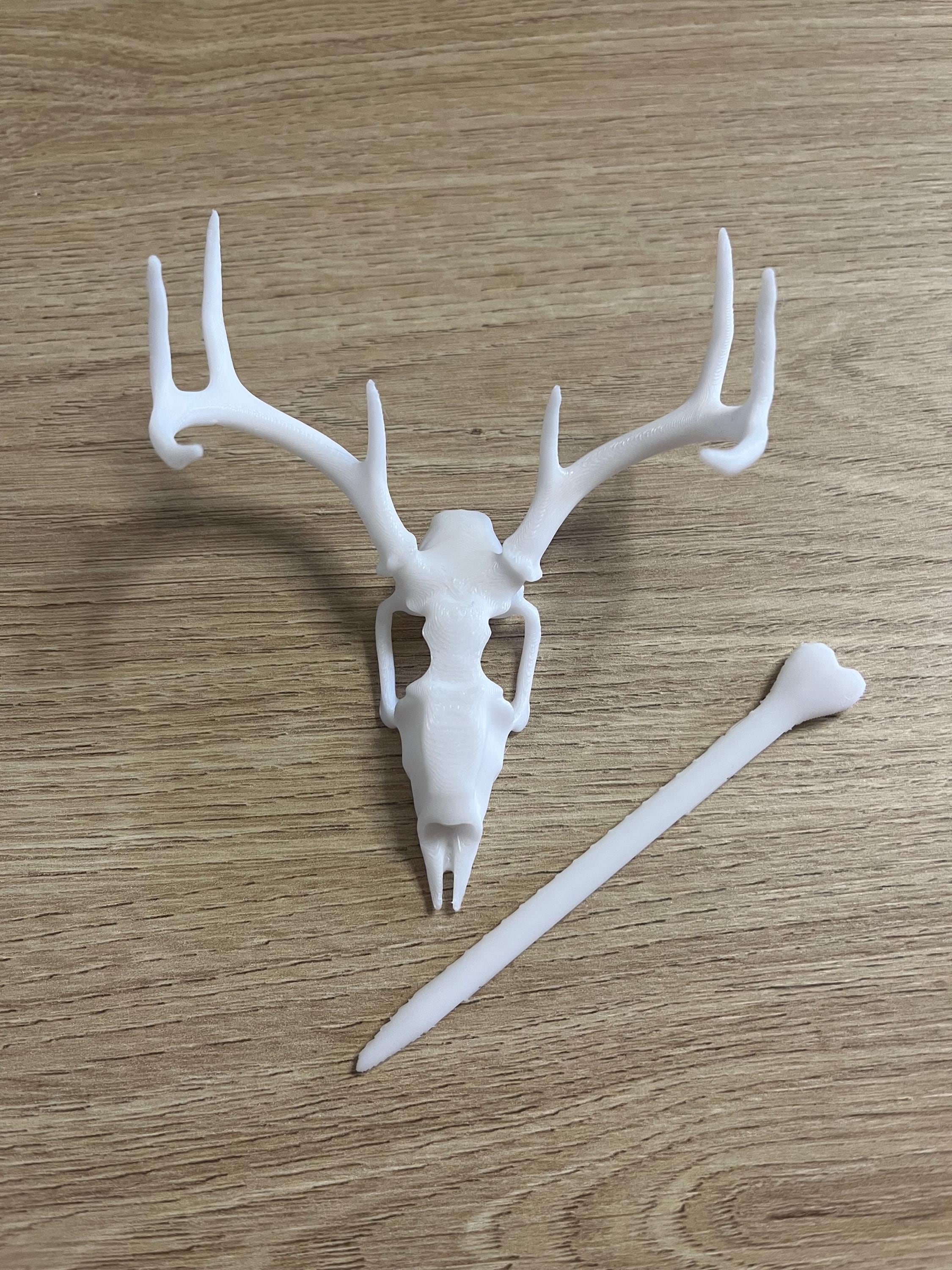 Unique 3d printed deer stag skull shawl pin, vulture culture, gothic, fantasy, macabre, witchy, alternative fashion accessory
